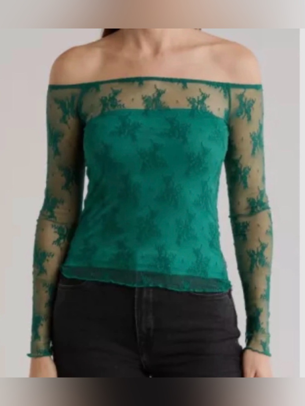 ELODIE Sheer Green Lace Long Sleeve Top